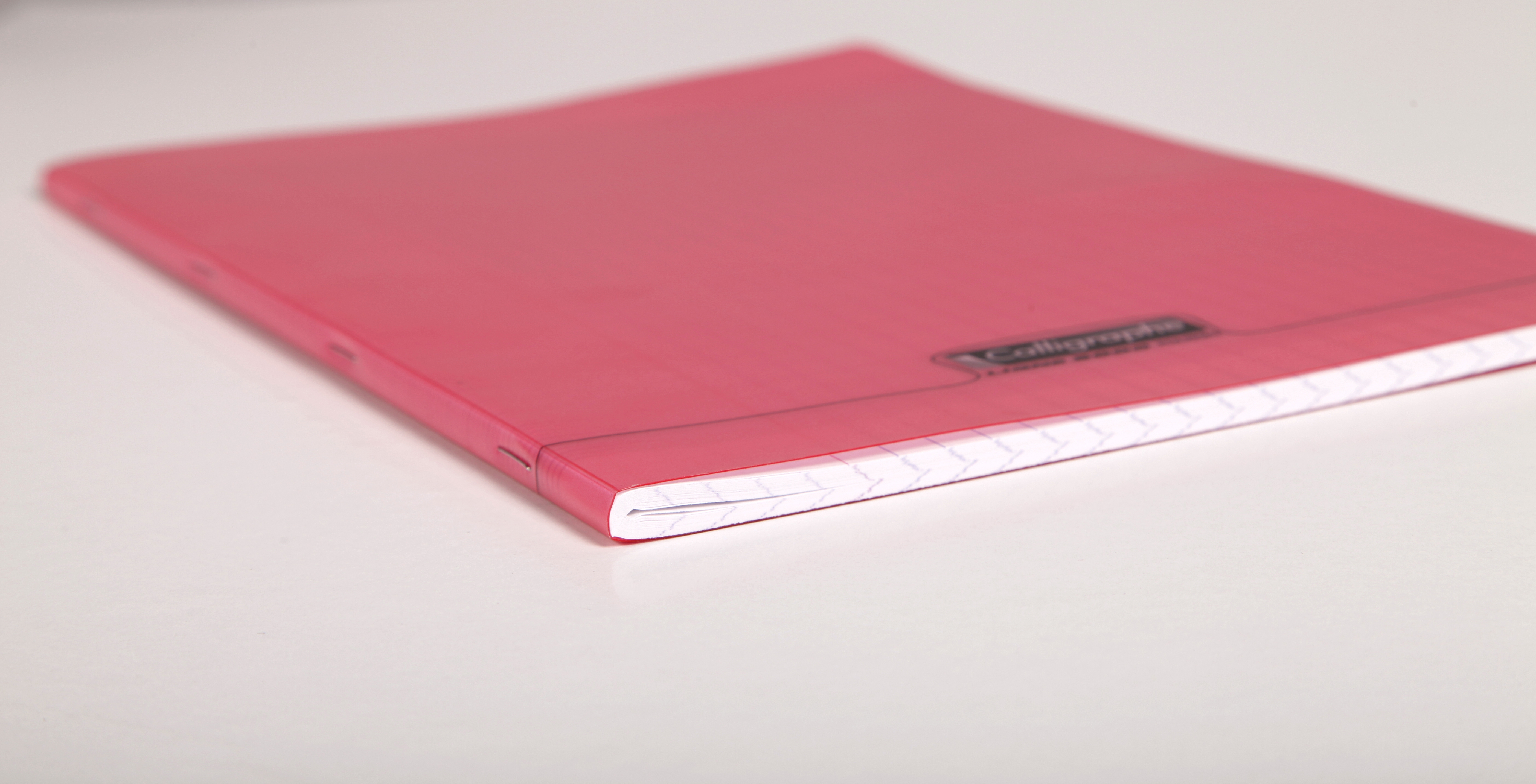 Cahier piqué 8000 POLYPRO 24x32 cm 96 pages grands carreaux 90 g