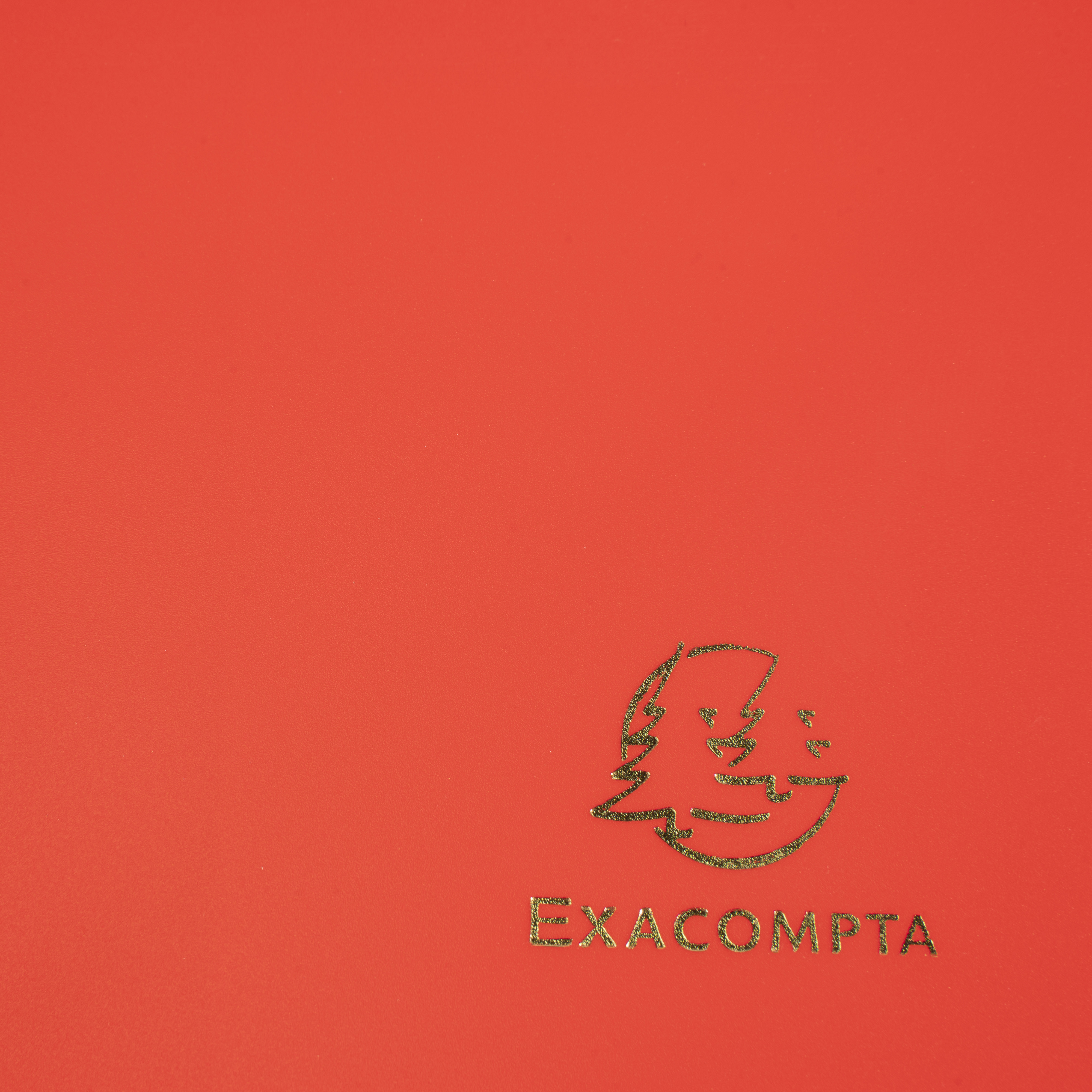 Chemise à élastique 3 rabats Polypropylène 4/10e Opaque Eco - A4 Chemise plastique polypropylène pour petit budget.