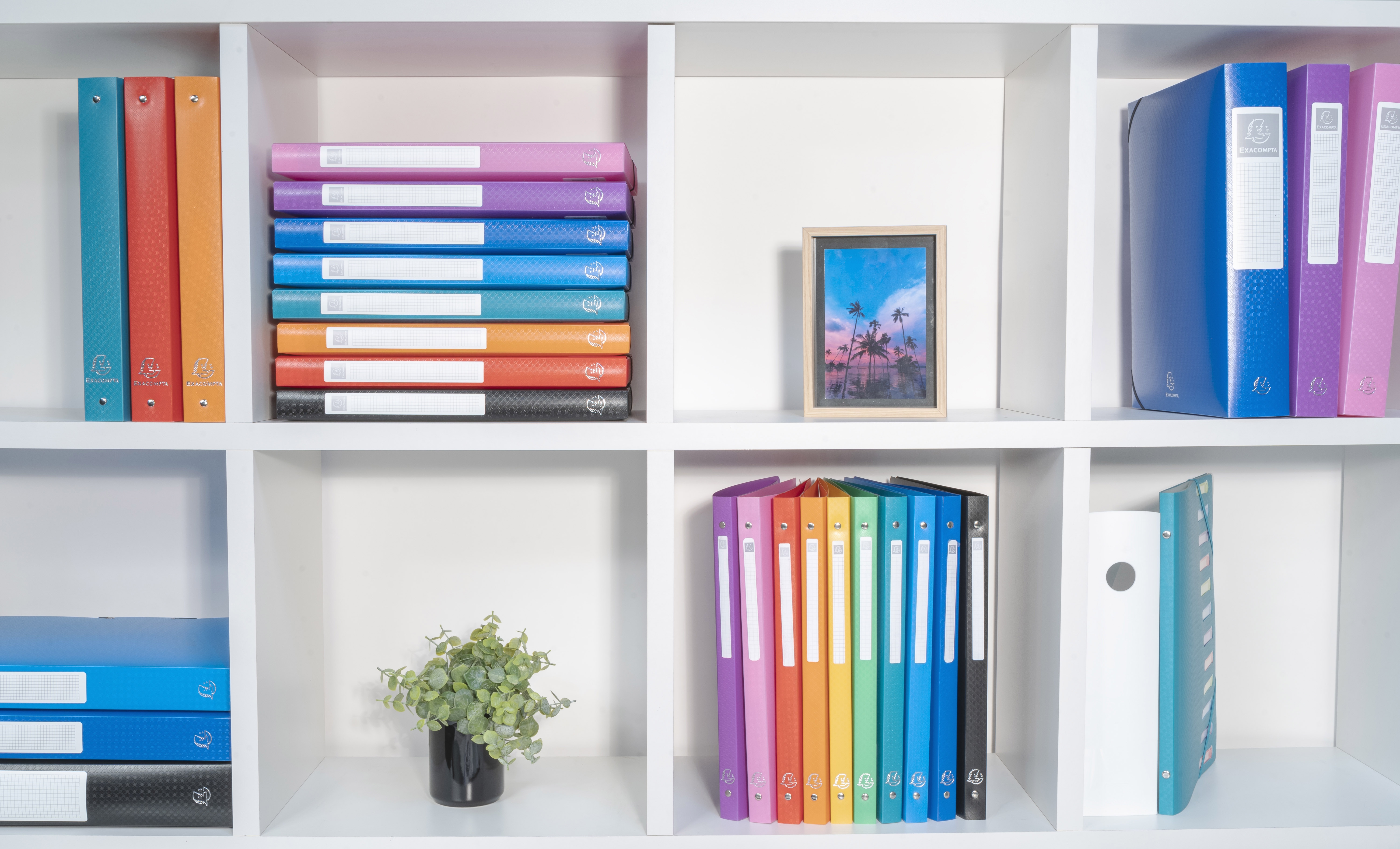 Classeur 4 anneaux 15mm polypropylène OPAK - A6