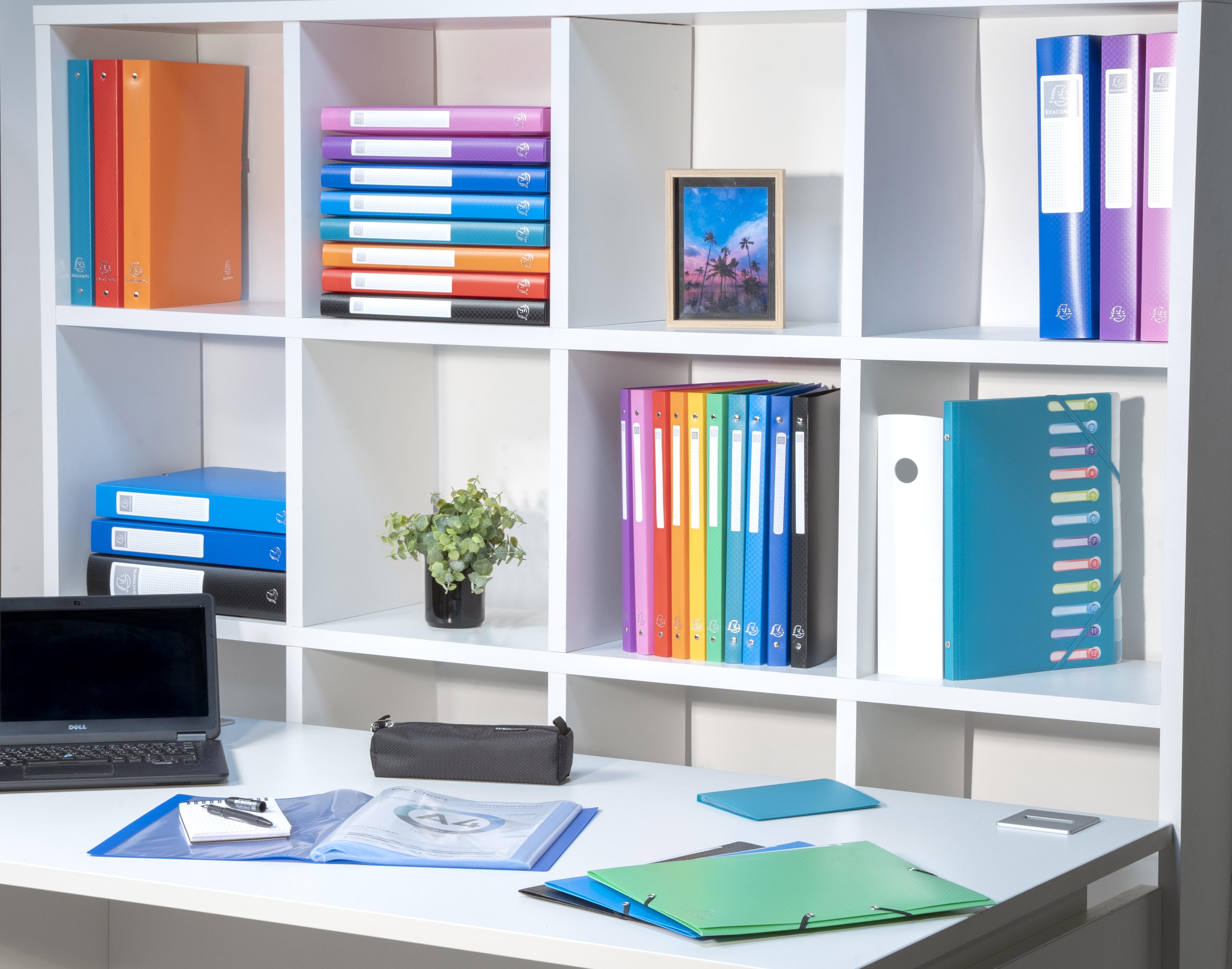 Classeur 4 anneaux 15mm polypropylène OPAK - A9