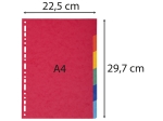 EXACOMPTA Intercalaires carte marbrée 220g/m2 6 positions - A4 