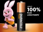 DURACELL Piles alcalines AA Plus 100%, 1,5V LR6 MN1500, lot de 4 piles