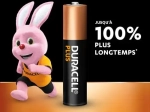 DURACELL Piles alcalines AAA Plus 100%, 1,5V LR03 MN2400, lot de 12 piles