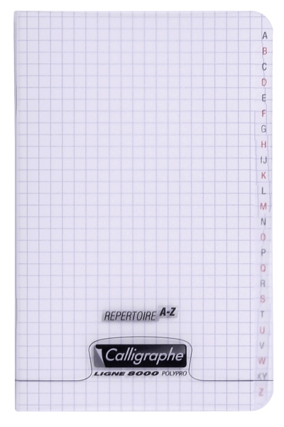 Répertoire piqué 8000 POLYPRO 11x17 cm 96 pages petits carreaux 90 g