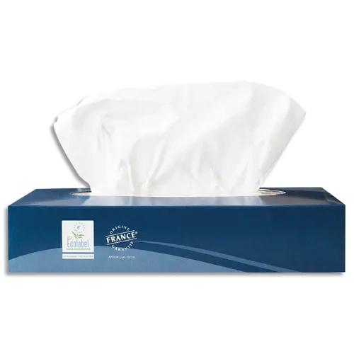 Boîte de 100 mouchoirs blancs 100 feuilles, 2 plis